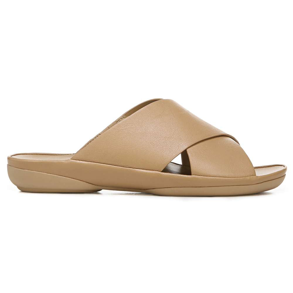 Gen N Stroll - Birchwood